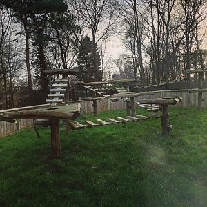 Raccoon enclosure 17/12/23