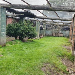 Crested Porcupine enclosure 31/8/23