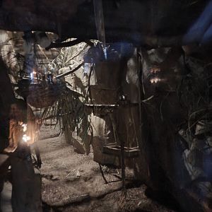 Northern Dry Zone Slow loris enclosure 17/12/23