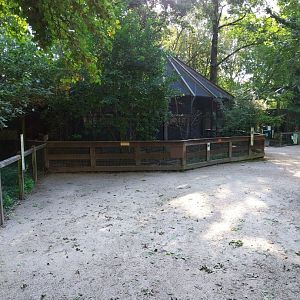 Green-winged macaw aviary