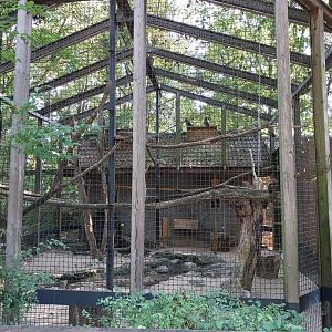 Kea aviary