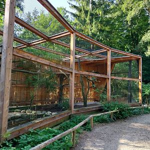 Black stork & Black swan aviary