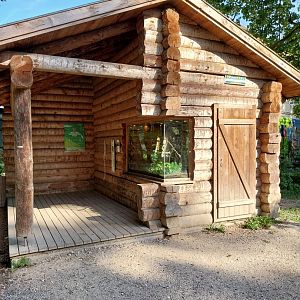 European tree frog house
