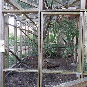 Toco toucan & big large armadillo aviary