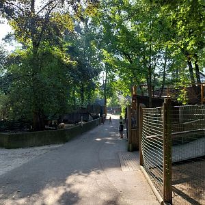 General park view towards the monkey house
