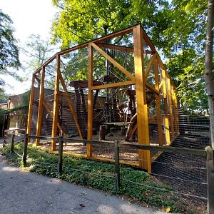 Mantled colobus enclosure