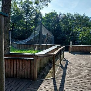 Monkey house rooftop view