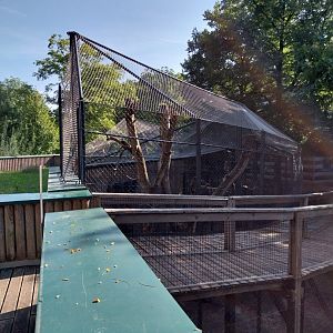 First enclosure for lion-tailed macaque