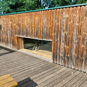 Monkey house - Viewing window into the mantled colobus interior enclosure