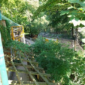 Monkey house rooftop view