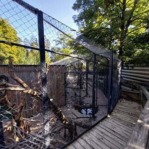 Lion-tailed macaque aviaries