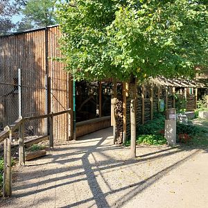 Monkey house - Visitor gallery