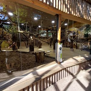 Monkey house - Interior for mantled colobus