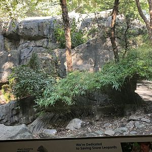 Temperate Territory - Snow Leopard Exhibit