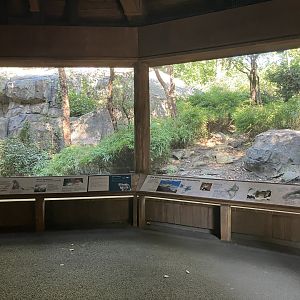 Temperate Territory - Snow Leopard Exhibit