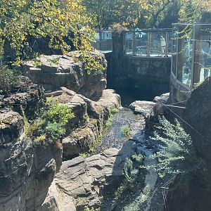 Polar Circle - Grizzly Bear Exhibit