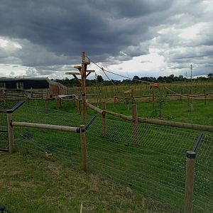 Smooth Coated Otter and Binturong enclosure 25/7/23