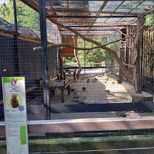 Kea aviary