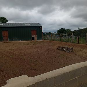 Capybara enclosure 17/8/23