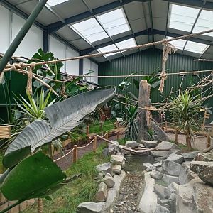 Parrot Walkthrough 17/8/23