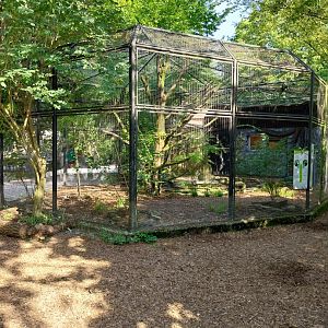 Wreathed hornbill aviary