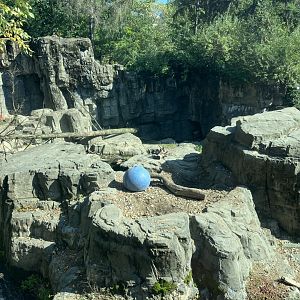 Polar Circle - Grizzly Bear Exhibit