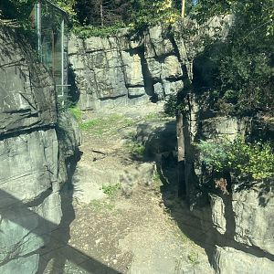 Polar Circle - Grizzly Bear Exhibit