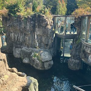 Polar Circle - Grizzly Bear Exhibit