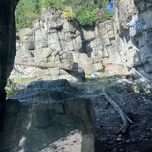 Polar Circle - Grizzly Bear Exhibit