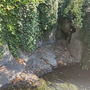 Polar Circle - Harbor Seal Exhibit