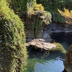 Polar Circle - Harbor Seal Exhibit