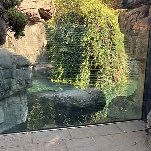 Polar Circle - Harbor Seal Exhibit