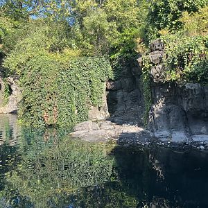 Polar Circle - Harbor Seal Exhibit