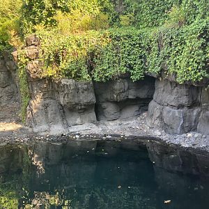 Polar Circle - Harbor Seal Exhibit