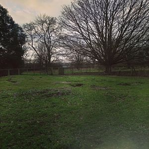 Wallaby enclosure 17/12/23