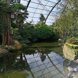 World of Wings Aviary 25/8/23