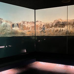 Polar Circle - Penguin Exhibit