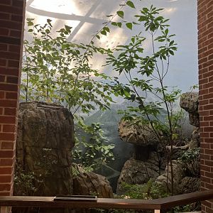 Polar Circle - Former Eurasian Eagle Owl Exhibit