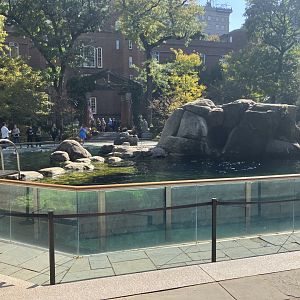 California Sea Lion Exhibit