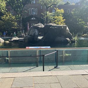 California Sea Lion Exhibit