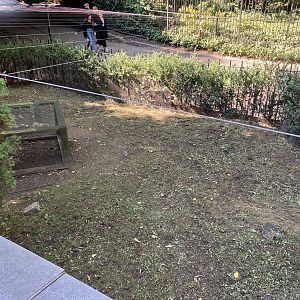 Tisch Children’s Zoo - Domestic Rabbit Exhibit