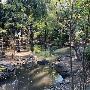 Tisch Children’s Zoo - Aviary