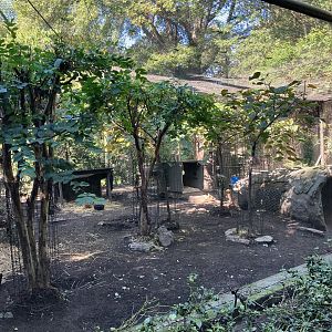 Tisch Children’s Zoo - Patagonian Mara Exhibit