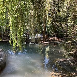 Tisch Children’s Zoo - Aviary