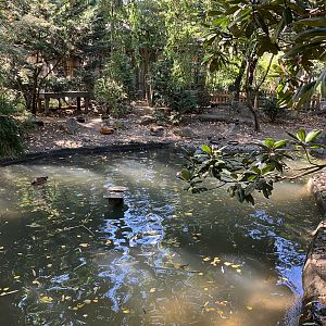 Tisch Children’s Zoo - Aviary