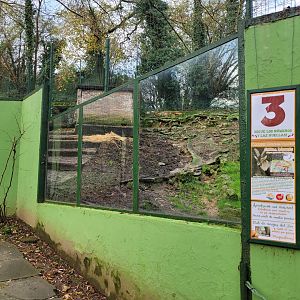 Iberian ibex exhibit -Zoo de Santillana del Mar (2023)