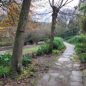 "Parque Cuaternario" view -Zoo de Santillana del Mar (2023)
