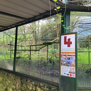 Snowy owl exhibit -Zoo de Santillana del Mar (2023)