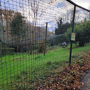 Eurasian crane exhibit -Zoo de Santillana del Mar (2023)