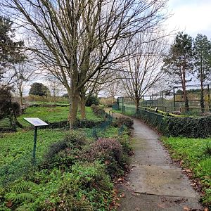 "Parque Cuaternario" view -Zoo de Santillana del Mar (2023)